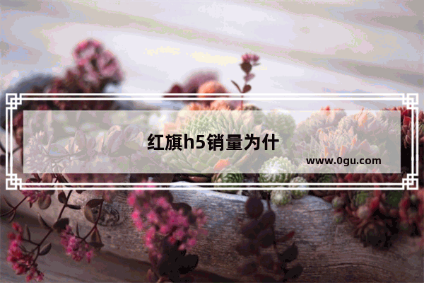 红旗h5销量为什么那么好