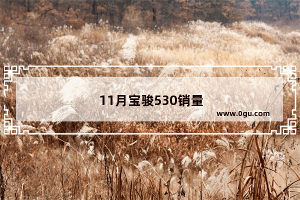 11月宝骏530销量