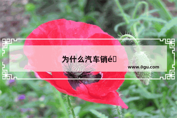 为什么汽车销量排行榜会有两个版本