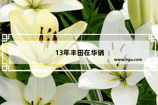 13年丰田在华销量