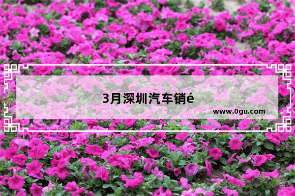 3月深圳汽车销量怎么样