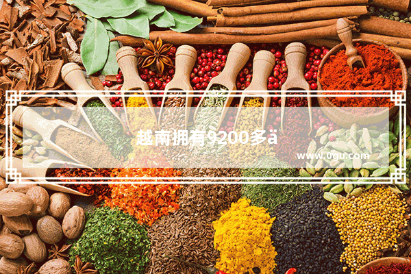 越南拥有9200多万人 日本摩托车 为何能占据98%的市场
