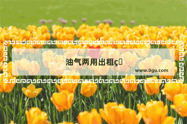 油气两用出租版的一汽威志v5怎么样