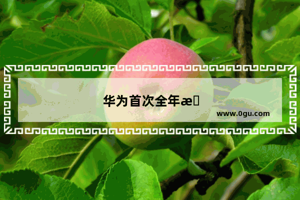 华为首次全年手机出货量击败苹果 居全球第二 这是偶然还是必然