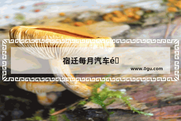 宿迁每月汽车销量多少