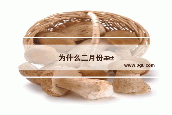 为什么二月份汽车销量下滑了