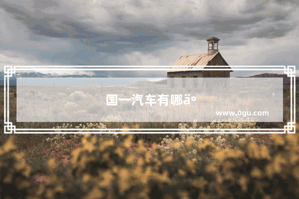 国一汽车有哪些