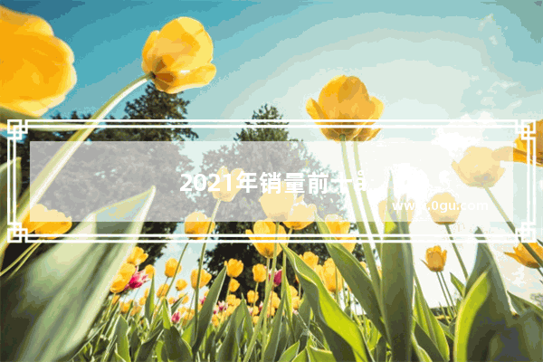 2021年销量前十名合资汽车
