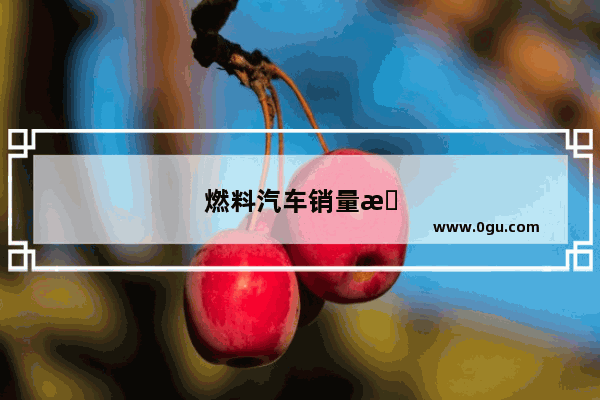 燃料汽车销量排行榜前十名