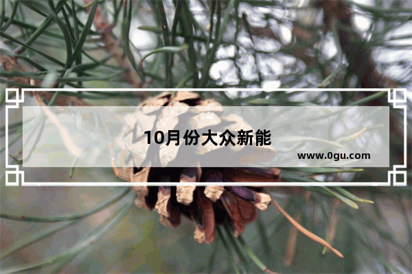 10月份大众新能源汽车销量排行榜