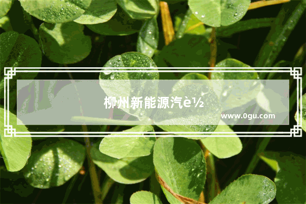 柳州新能源汽车销量排行榜前十名