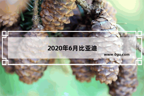 2020年6月比亚迪汽车销量