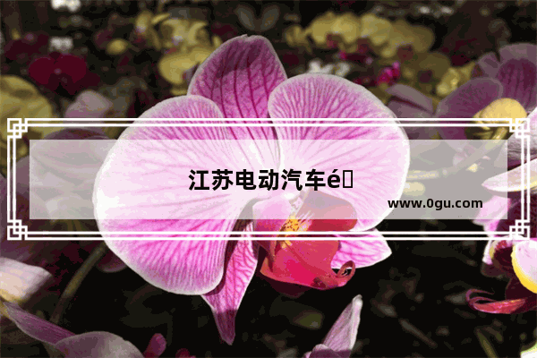 江苏电动汽车销量排行前十名