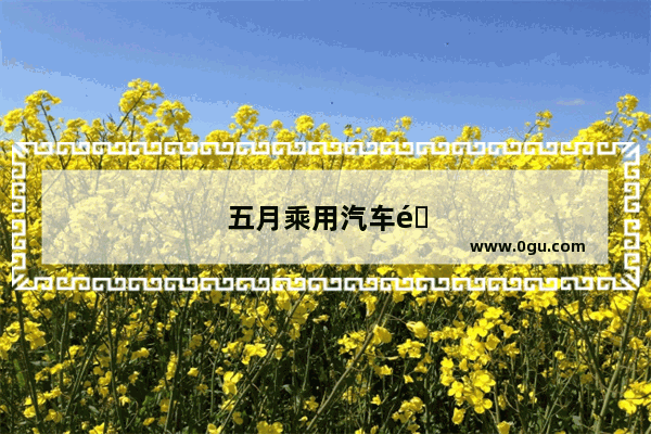 五月乘用汽车销量榜