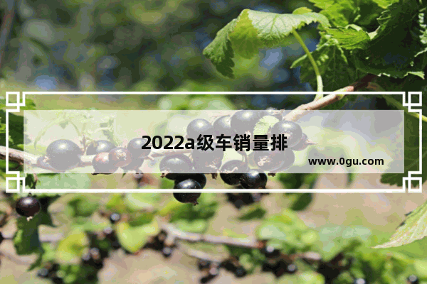2022a级车销量排名前十名