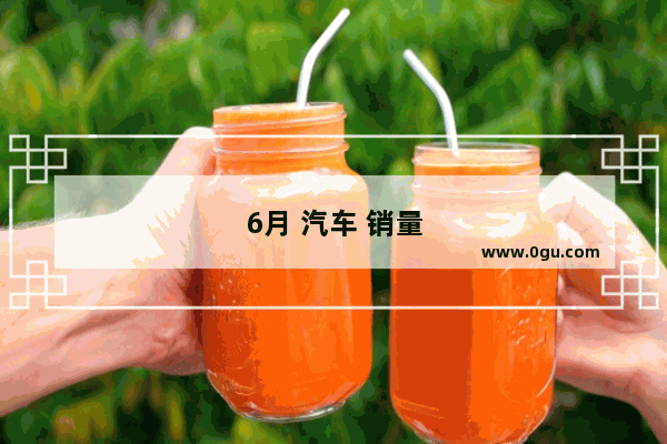 6月 汽车 销量