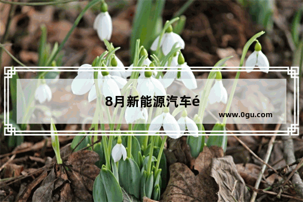 8月新能源汽车销量增长