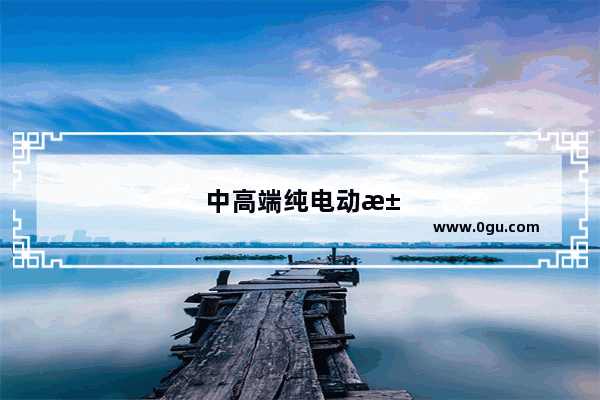 中高端纯电动汽车销量排行榜