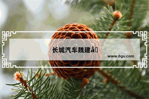 长城汽车魏建军发家吏