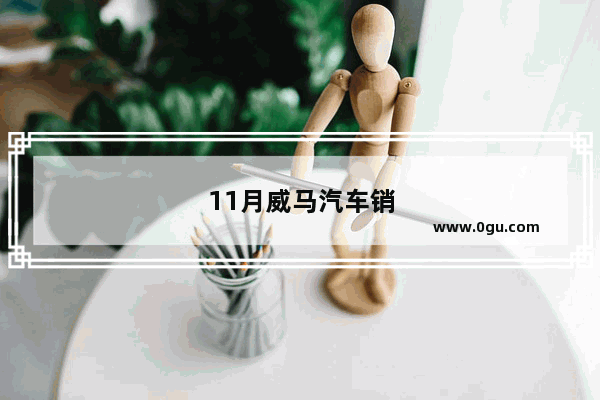 11月威马汽车销量