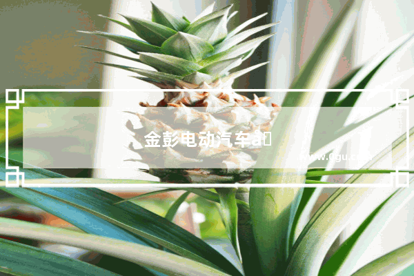 金彭电动汽车和雷丁电动汽车哪个好