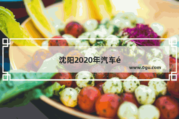 沈阳2020年汽车销量排行榜最新