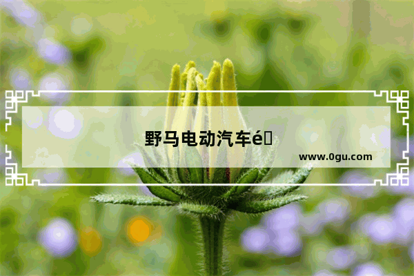 野马电动汽车销量怎么样